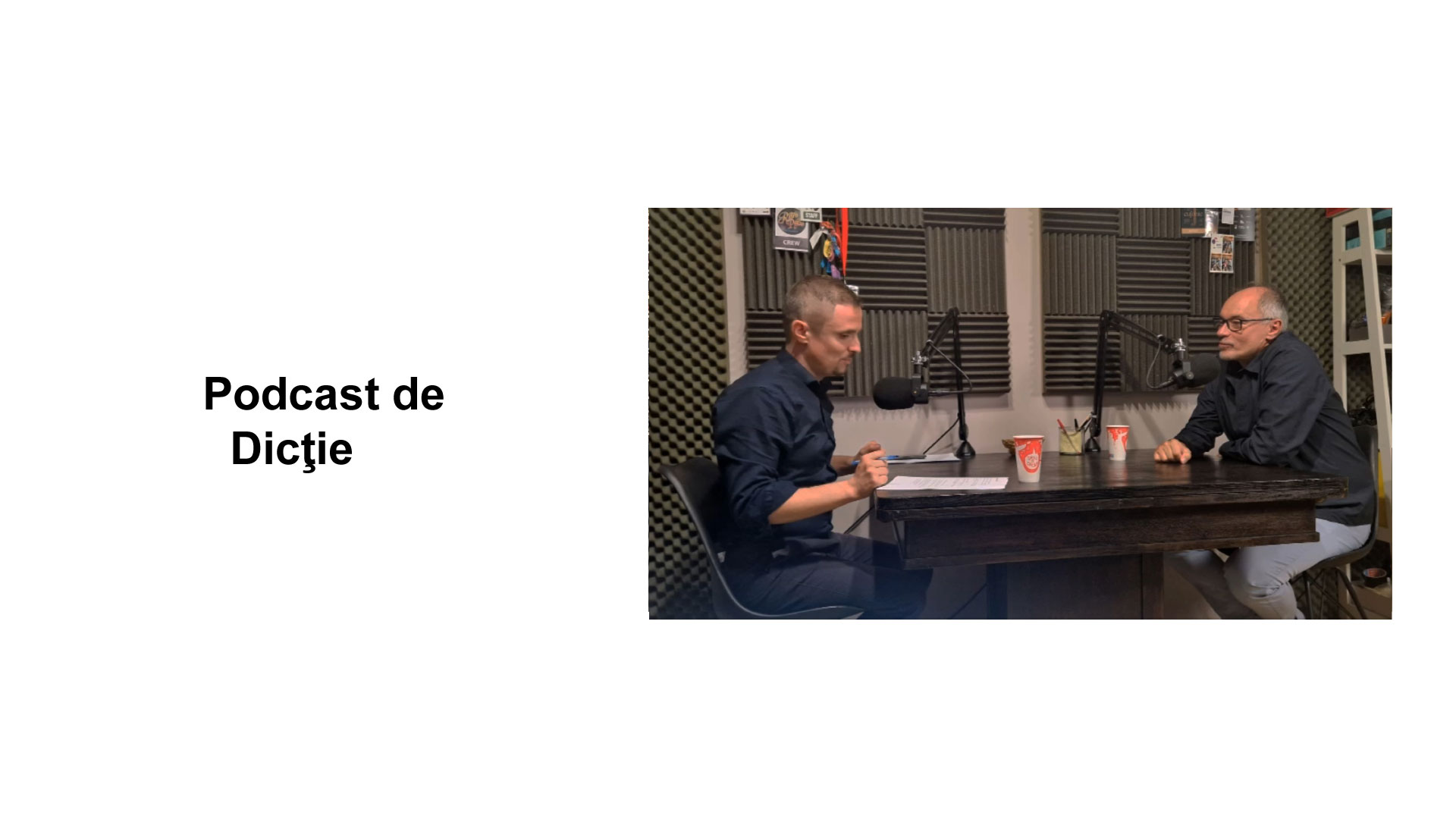 #PodcastDeDicţie, interviu, 2024